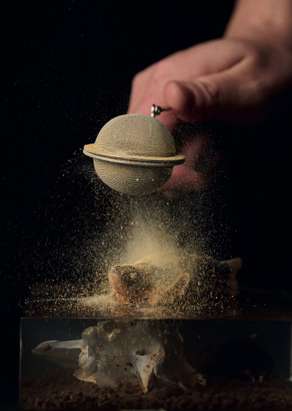 Iris — IP Gastronomy, p. 101