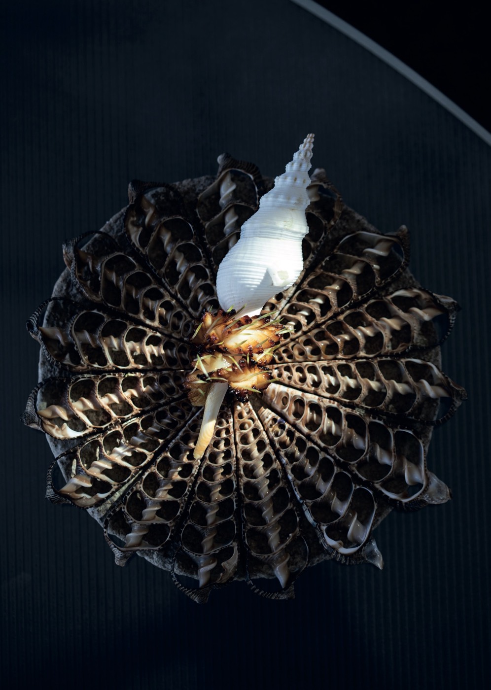 Vespertine — IP Gastronomy, p. 121