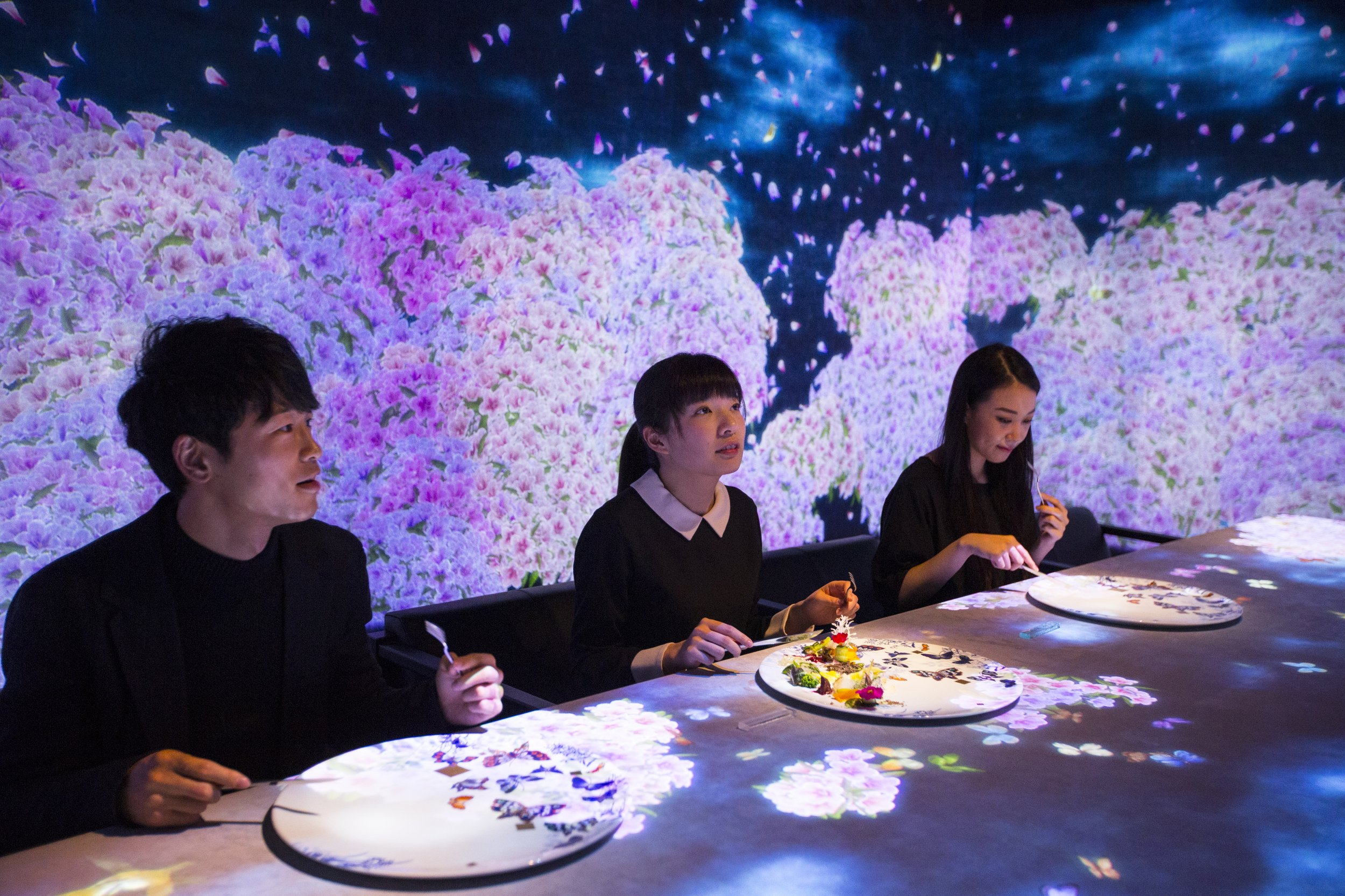 Moonflower Sagaya Ginza — teamLab × SAGAYA