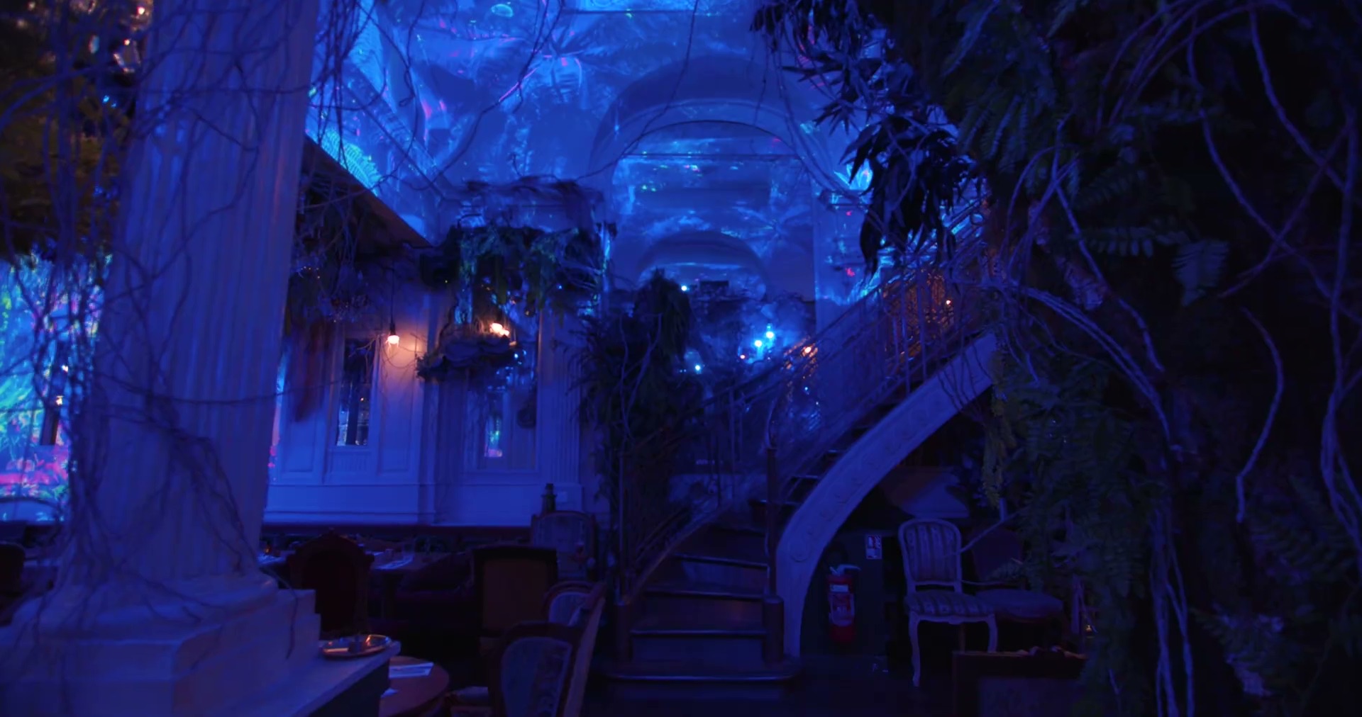 Le Jungle Palace d'Ephemera, Paris 10ᵉ.