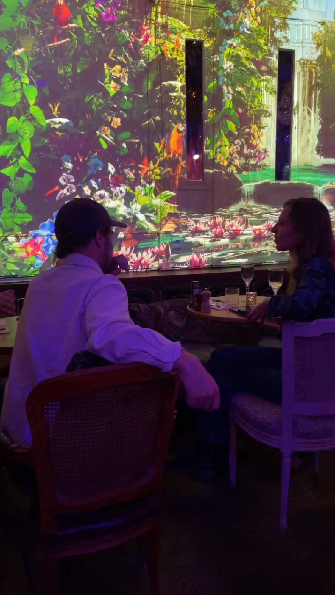 Les invités devant les projections du Jungle Palace.
